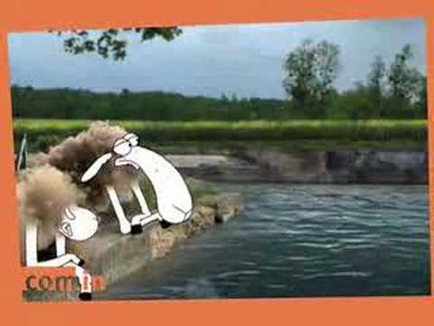 See video