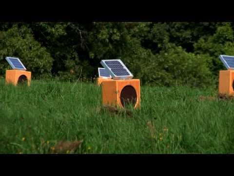 Craig Colorussos Sun Boxes YouTube Preview Image