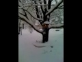 SNOWBIRDS.mov