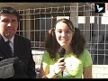 Ravennius: ¿piso desocupado, alquiler forzoso?