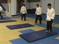 TÉCNICAS DEL HAPKIDO TÉCNICAS DEL HAPKIDO