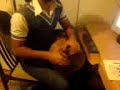 Afshin dar haleh zarb