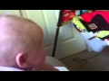 Doggy TV for Babies