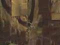 Tomb Raider Speedrun Level 12-Sanctuary of the Scion Part 1