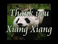 the life of xiang xiang