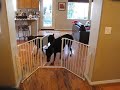 gate,Joie,opens