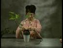 Collection - Ikebana