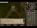 Desert Treasure beating Damis Desert Treasure beating Damis