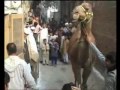 camel qurbani by baba ji phoolon wale  02  GUJRANWALA