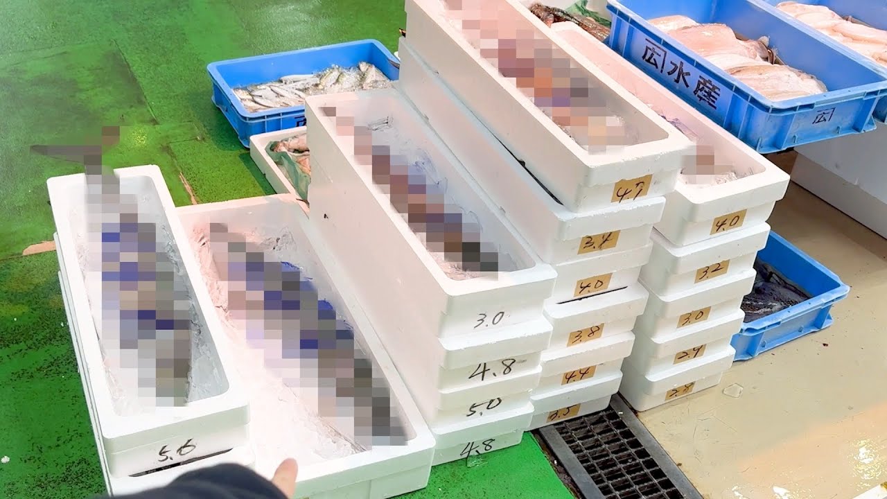 動画2
