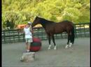 Horsemanship Drills in a Roundpen & Play 4