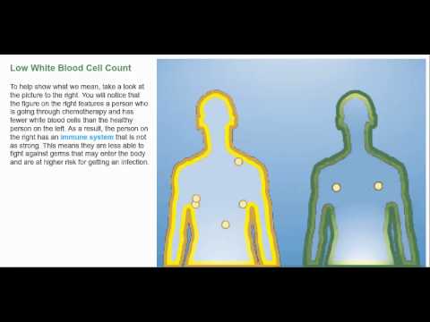 how to boost neutrophils