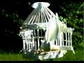 Our Doves