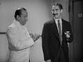 Una noche en la �pera, escena del camarote