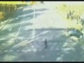 Ta pio asteia video tha gelasete polli