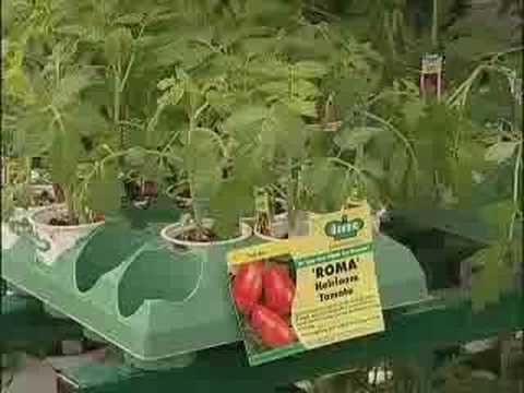 Watch 'Tips On Starting A Garden'