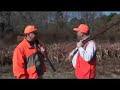 Awesome SE GA Quail Hunt