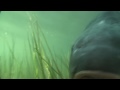 Teaser du film documentaire 