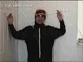 cat-fight.html