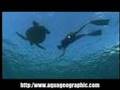 伝説のダイバー ジャック・マイヨール LEGEND DIVER Jacques Mayol