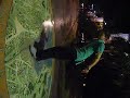 tim shuffling across sydney...... tim shuffling across sydney......