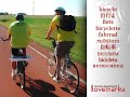 Lovemarks Trend: Bicycles
