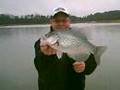 2.25lb Lake Hartwell Crappie