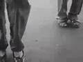 Magic Carpet Ride by Fatboy Slim