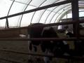 videos de 122507.wmv