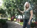 5 STAR EXPERIENCE - \"Backyard Oasis\" - Landscaping 5 STAR EXPERIENCE - \"Backyard Oasis\" - Landscaping