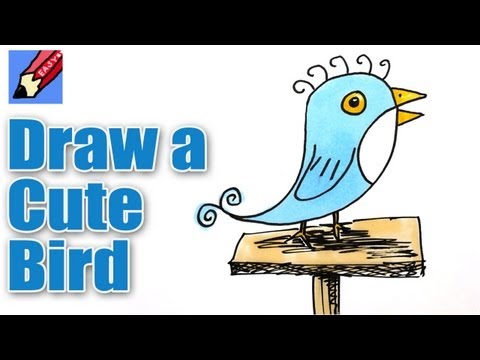 How To Draw a Cute Little Bird Real Easy
