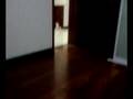 videos de Our New House