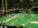 Sabercats
