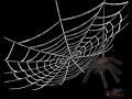 spun a web spun a web