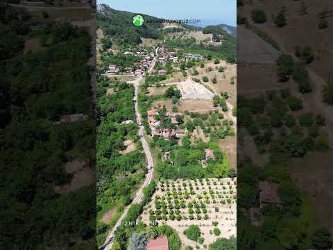 Bursa İznik Yenişerefiye Köyü