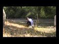 CAMPIONATO ITALIANO DI PESCA CON ESCHE DA RIVA-FIUME TEVERE