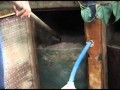Baños secos, Alternativa ecológica
