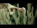 Taylor Swift - Love Story Music Video With Lyrics