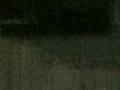 videos de 01122008