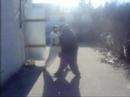 NAIFS WINGCHUN DEMO CLIP2 2005