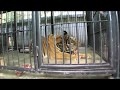 Phnom Tamao Wildlife Rescue Center