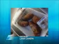 Click here to watch this video Linguiça com barata viva no supermercado Super Maia
