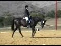DCD Lucian El Cap Dressage_Test 2_080705 DCD Lucian El Cap Dressage_Test 2_080705