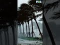 আগামী ৪দিন দেশের বিভিন্ন স্থানে ব’জ্র’সহ বৃষ্টির সম্ভাবনা