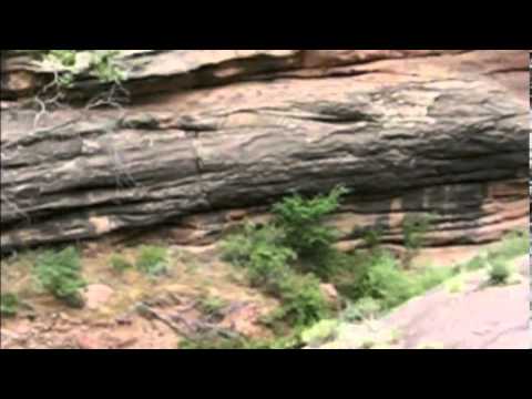 grand national results