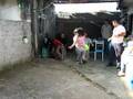 festao da elenice