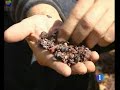 un brindis por el territorio vino y corcho FSC