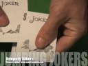 jumpingjokers 2.5 ( Shawn Farquhar ) jumpingjokers 2.5 ( Shawn Farquhar )