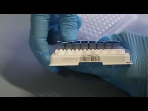 how to isolate microsomes