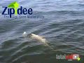 When Fish Won't Bite